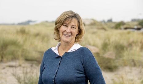 hilary-karlson-femern-belt-development