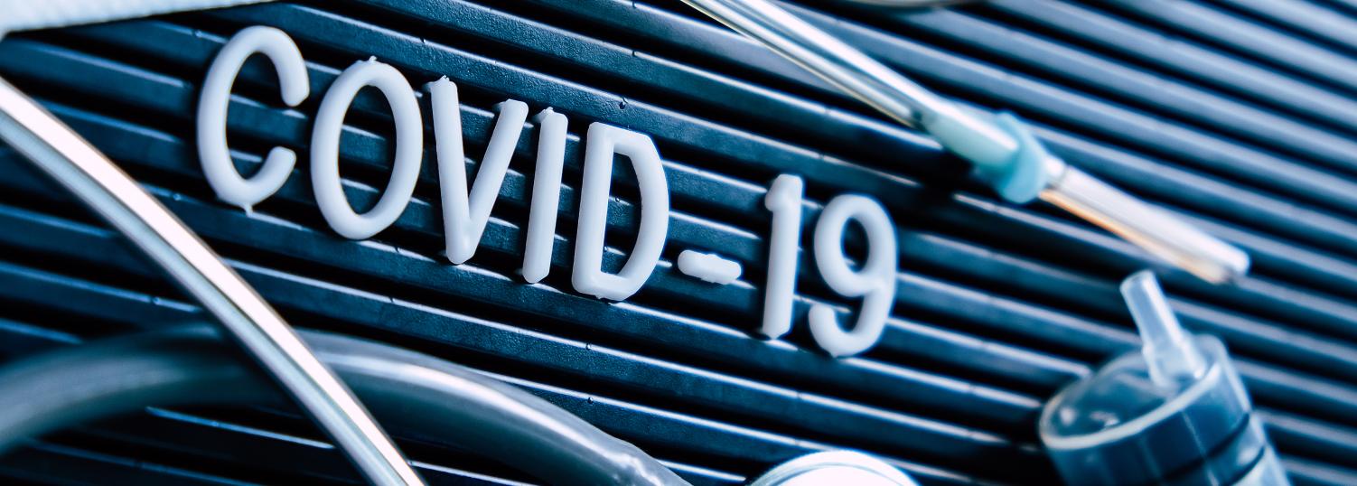 covid-femern-belt-development