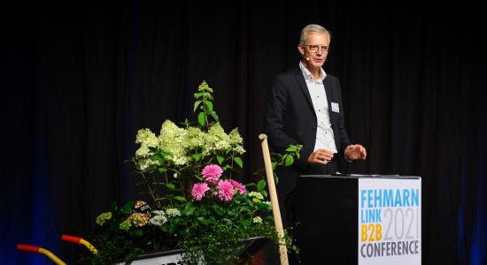 flbc-femern-belt-development