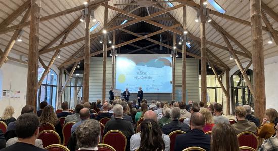 flic-femern-belt-development